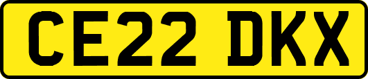 CE22DKX