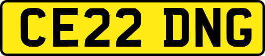 CE22DNG