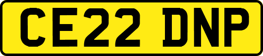 CE22DNP