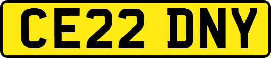 CE22DNY