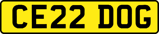 CE22DOG