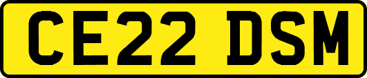 CE22DSM
