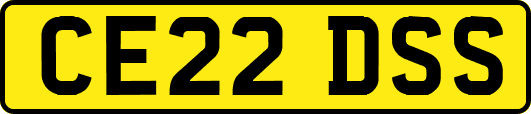 CE22DSS