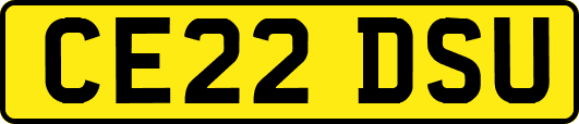 CE22DSU