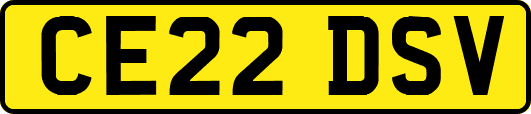 CE22DSV