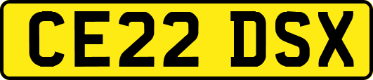 CE22DSX