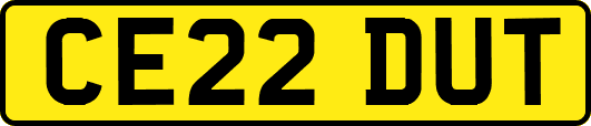 CE22DUT