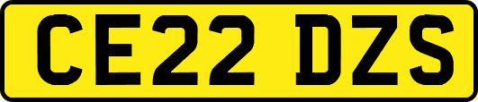 CE22DZS