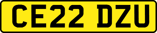 CE22DZU