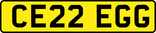 CE22EGG