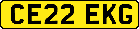 CE22EKG