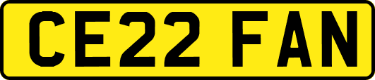 CE22FAN