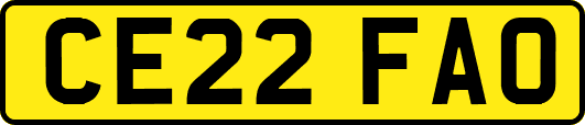 CE22FAO