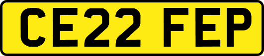 CE22FEP