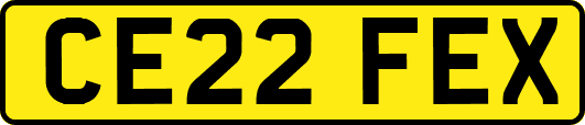 CE22FEX