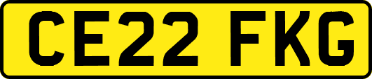 CE22FKG