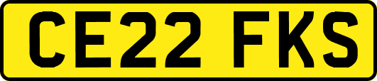 CE22FKS