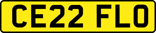 CE22FLO