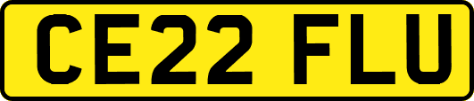 CE22FLU