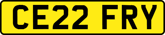 CE22FRY