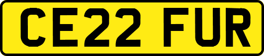 CE22FUR