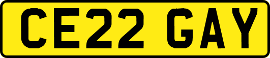 CE22GAY