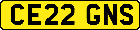 CE22GNS