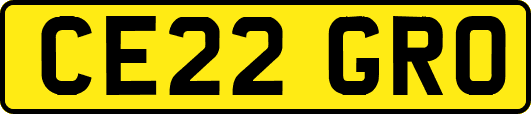 CE22GRO