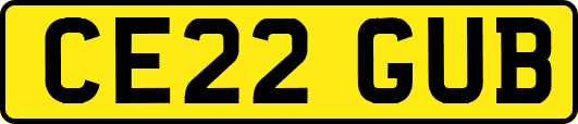 CE22GUB
