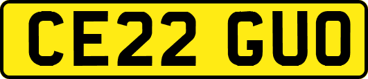 CE22GUO