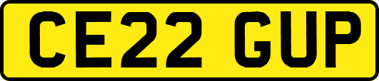CE22GUP