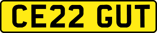 CE22GUT