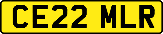 CE22MLR
