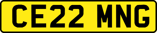 CE22MNG