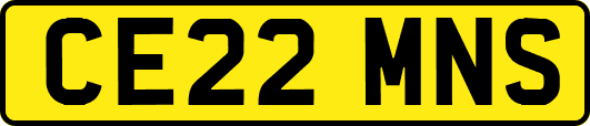 CE22MNS