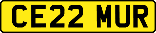 CE22MUR