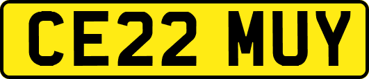 CE22MUY