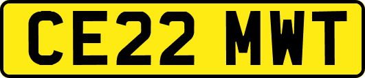 CE22MWT