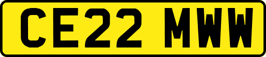 CE22MWW