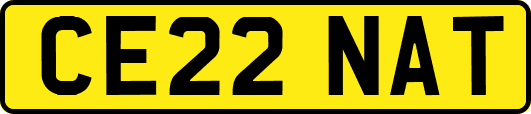 CE22NAT