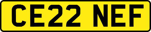CE22NEF