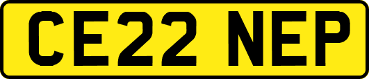 CE22NEP