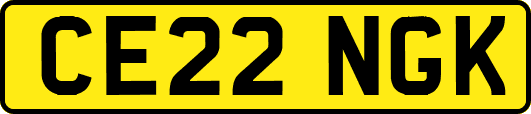 CE22NGK