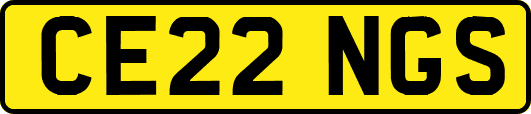 CE22NGS
