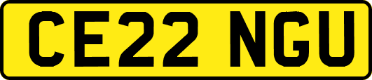CE22NGU