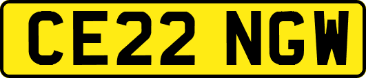 CE22NGW