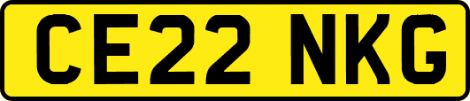 CE22NKG
