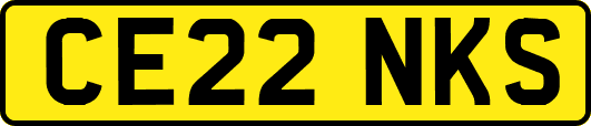 CE22NKS