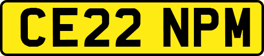 CE22NPM