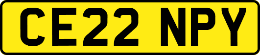 CE22NPY